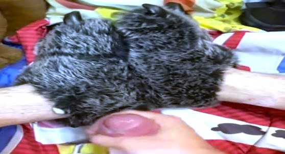 Cum in shein cllothe